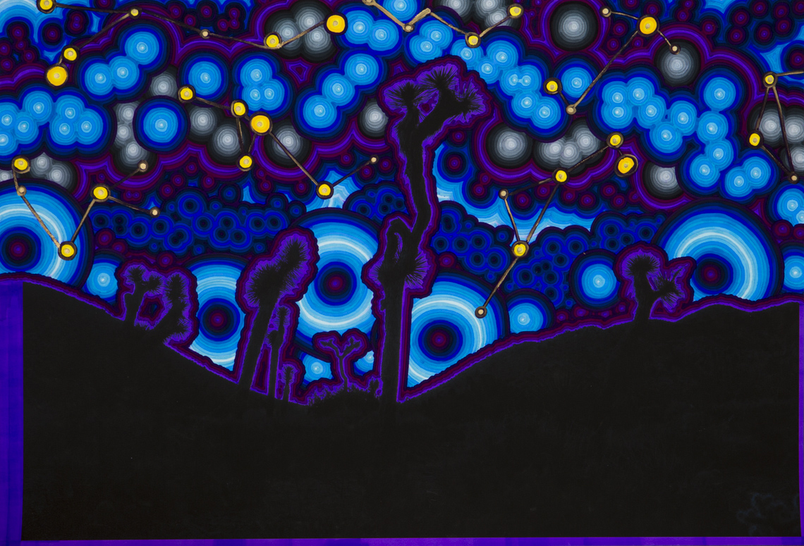 Joshua Tree Night Sky